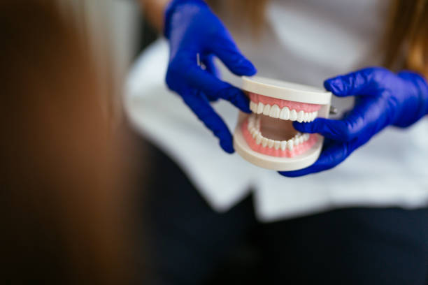 Best Dental Exams and Cleanings  in Midlothian, IL